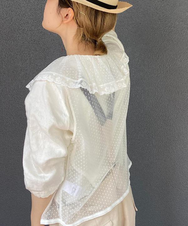 dot tulle blouse