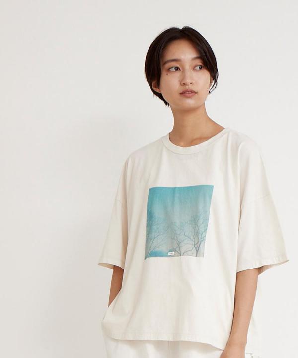 ＵＳＥ天竺　プリントＴシャツ