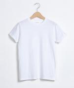 【ラストワン！】ルウト天竺　Ｔシャツ