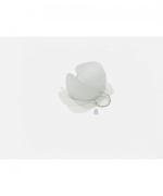 EXCAVATION Sigle Earring Anthos WHITE FROST