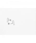 Earrings Horn Flake