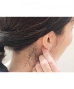 Earrings Horn Flake
