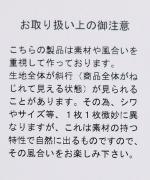 ハイゲージ天竺　プリントT（OMLETTE）
