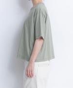 スープレコットン天竺５分袖Ｔシャツ