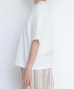 スープレコットン天竺５分袖Ｔシャツ