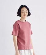 【ラストワン！】マシュコットン　半袖Ｔシャツ