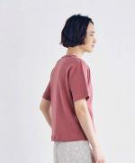 【ラストワン！】マシュコットン　半袖Ｔシャツ