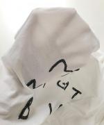 ハイゲージ天竺　バードプリントTシャツ