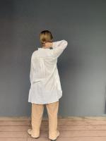 Ladies　Shirts